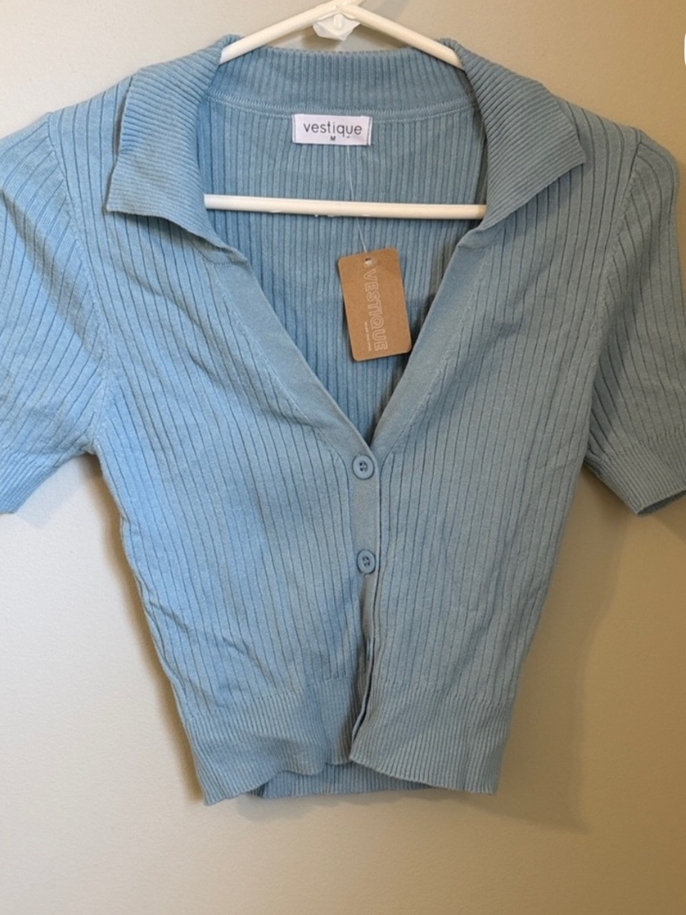 vestique Sky-Blue Ribbed Collared Button Cardigan